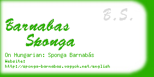 barnabas sponga business card